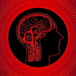 ¿Cómo usar el poder mental?