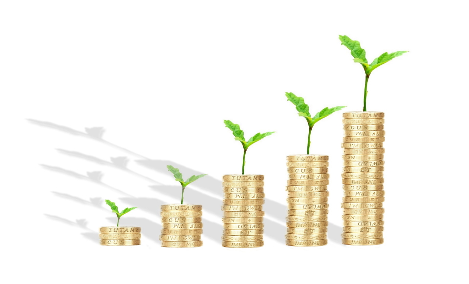 ¿Cómo alcanzar la libertad financiera?